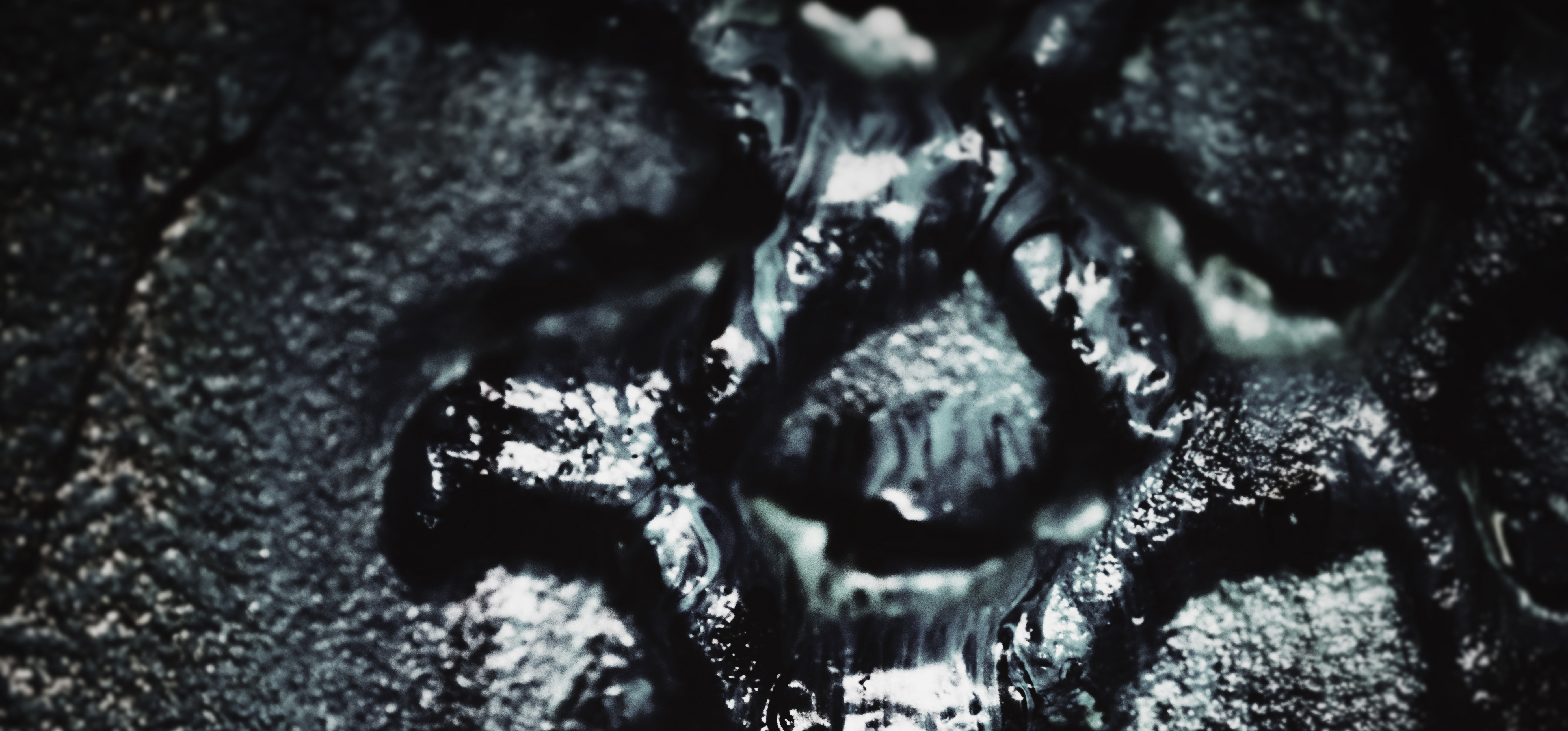 Close Up and Personal banner